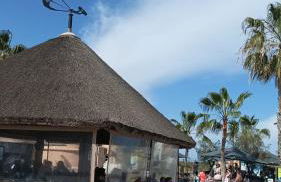 Casa Ocas 2 barbacoas y chimenea - Foto 16