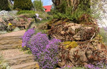 Gemütliche, sonnendurchflutete Ferienwohnung in Bodenseenähe am Säntisblick - Foto 26
