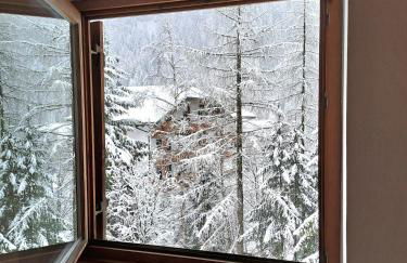 Cèsa Pier Sellaronda Dolomiti - Foto 8