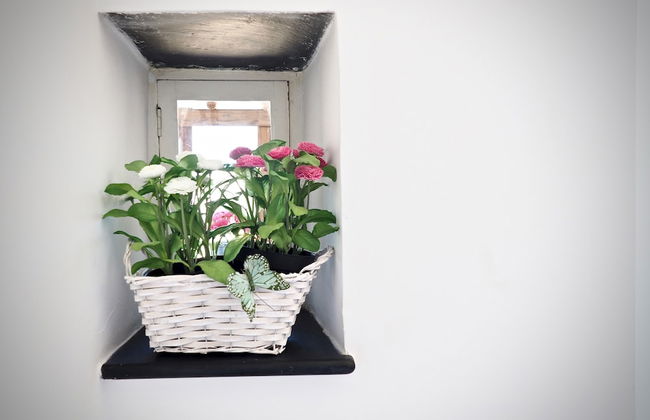 Dimora Palestro con Panorama - Foto 15