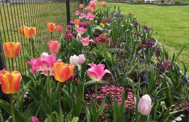 Apartament Zielone Wzgórze 2 - Foto 30