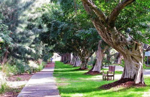 Tropical Cottage Less Than 2 Mi to Hobe Sound Beach! - Foto 28