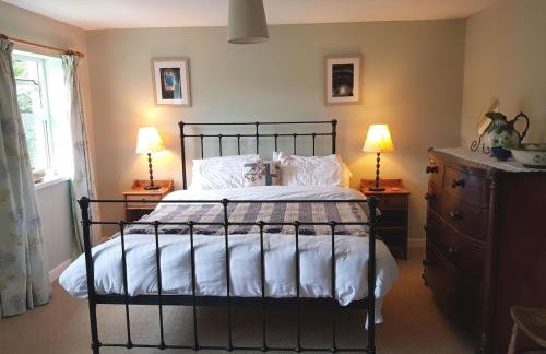 Cosy Cottage overlooking the Teifi Gorge - Foto 35