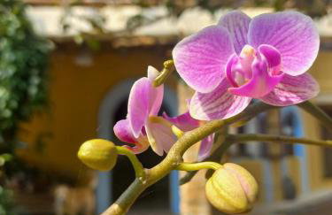 Recanto na natureza - Foto 11