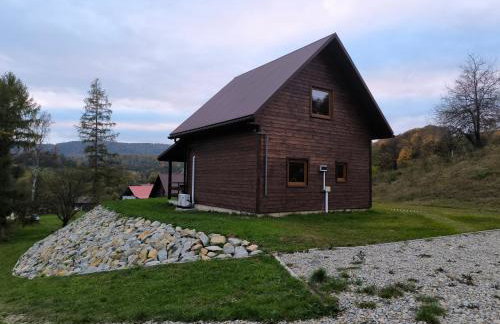 Domki Bieszczadzka Polana - Foto 46