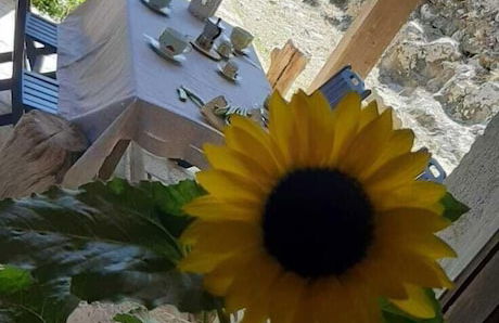 Le Case di Don Peppino - Foto 10