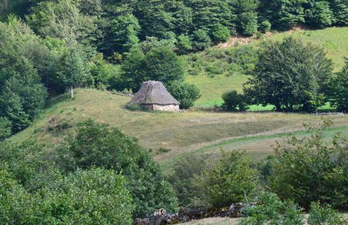 La Corona del Auteiro - Foto 17
