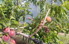 Casa Rural Casa Puntes - Photo 28