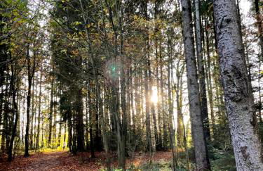 Ferienwohnung Schmied von Almertsham - Foto 51