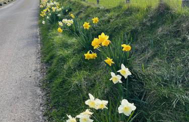 Tornaroan Cottage - Foto 48