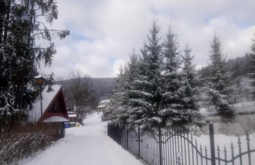 Dom "Honorat", Kamianna 70, 33-336 - Photo 10