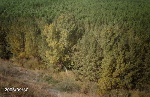 Casa Rural Las Barricas - Foto 15