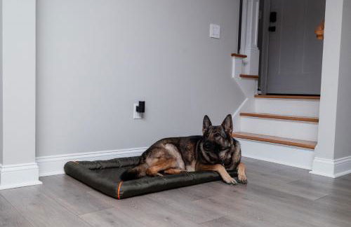 Rest in Westerly - Foto 28