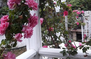 Studio Vasilis - Foto 7