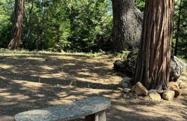 Family get away Near Sly Park Lake & Apple Hill - Foto 16