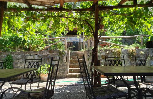 Agriturismo L'Olivara - Foto 59
