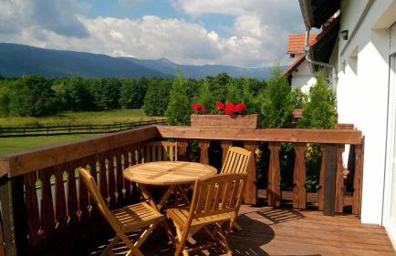 Wysokie Łąki domki w górach - Foto 2