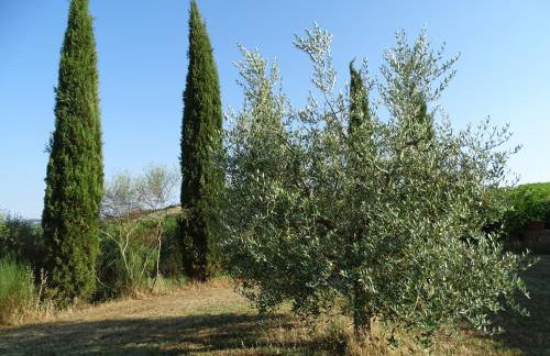 Teruzzi Country House - Foto 19