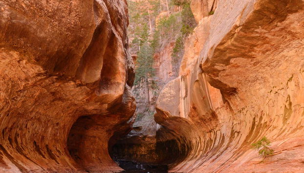 Rock formations in the canyon