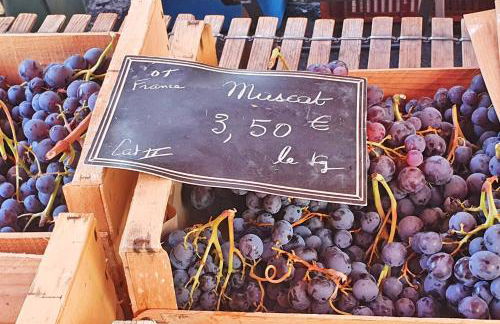 Domaine Lapèze, Gite Le Cabernet. - Foto 32