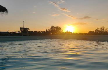 Monte da Masmorra de baixo-Casa Alentejana - Foto 35