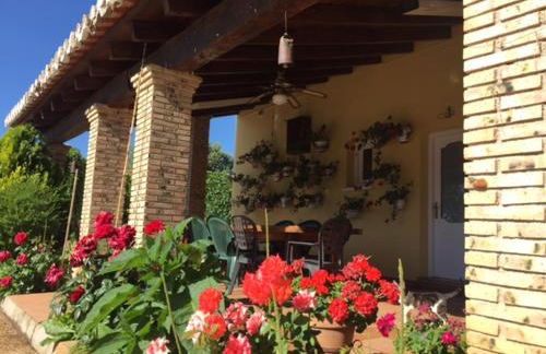 Villa Rural Paquete - Foto 11