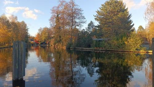 Ferienhaus - Ankerplatz am Werlsee, mit eigenem Bootssteg und Sauna - Foto 3