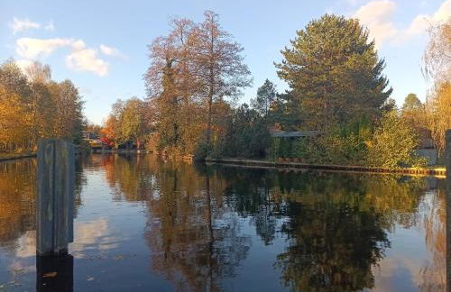 Ferienhaus - Ankerplatz am Werlsee, mit eigenem Bootssteg und Sauna - Foto 3