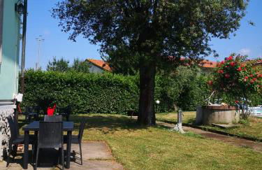 Franco house with pool - Foto 79