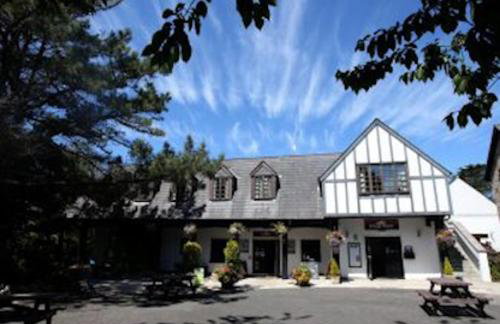 Cosy cottage between Penzance and St Ives - Foto 18