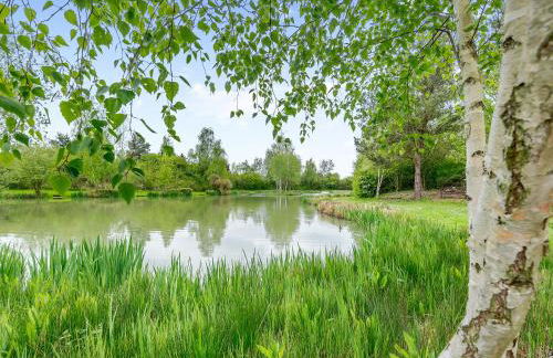 Teal - Uk41036 - Foto 15