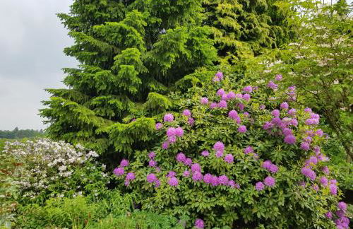 Ferienwohnung Monschauer Land - Foto 40