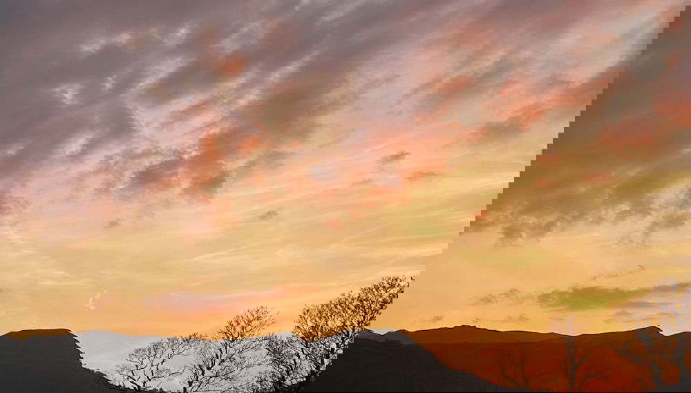 Erw Glas Glamping and Camping - Foto 1, Profilbild