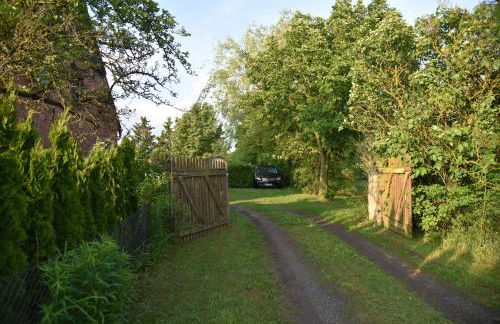 Ferienhaus Biene - Photo 61