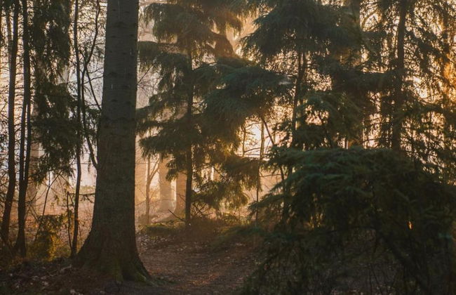 Chalet in Friesland Near Large Lakes - Foto 29