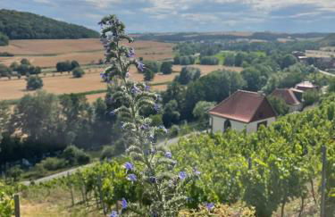 Ferienhaus Traminer im Weinberg - Foto 18