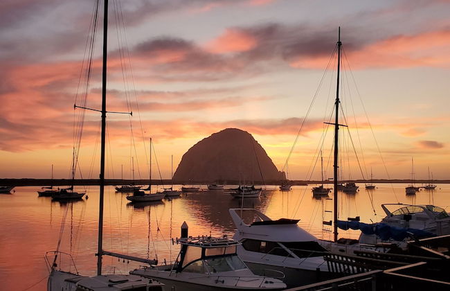 Gray's Inn & Gallery - Foto 29