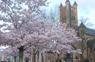 Down-Town-Oasis - Foto 20