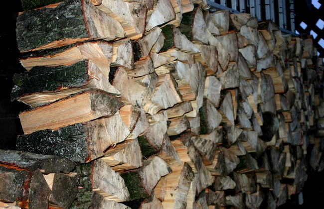 Ferienhaus Drebach - Foto 25