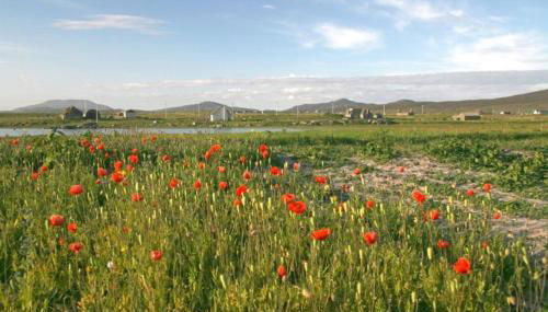 Smiddy Cottage - Foto 3