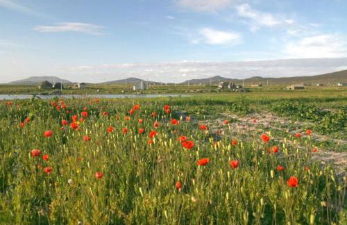 Smiddy Cottage - Foto 3