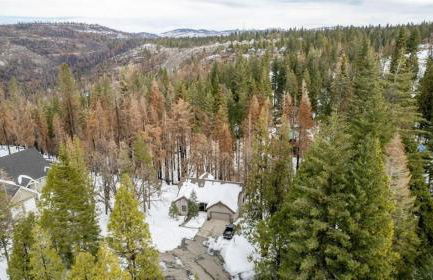 Creekside Cabin - Pup-Friendly with AC - Foto 45