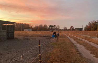 Serene Stay in North Carolina!! - Foto 42