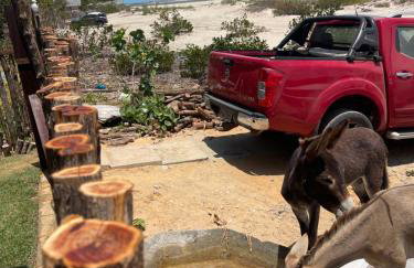 Casa Mangue - Foto 52