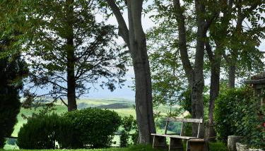 Borgo Lucignanello Bandini - Foto 5