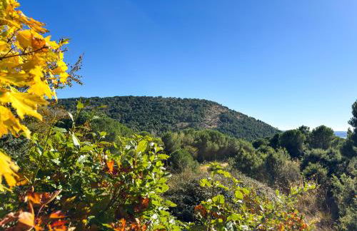 Casa Abetos - Photo 71