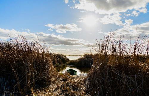 Casa Rural Entreolivos - Foto 35