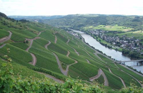 Romantischer Aufenthalt mit Blick auf den Weinberg - Foto 15
