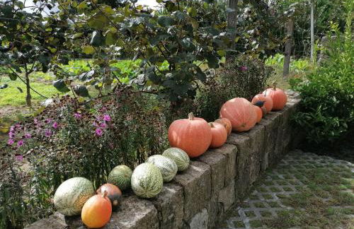 CAMPO DE SOBARBO - Guest House rural - Photo 78