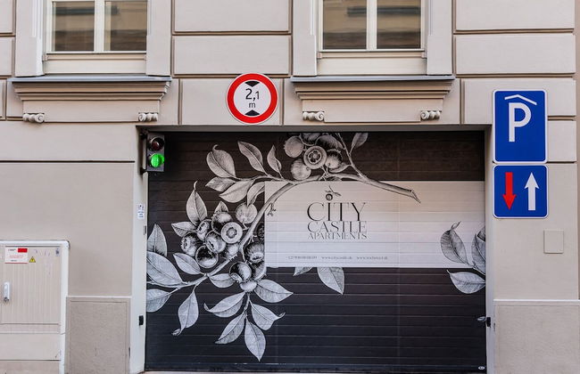 City Castle Apartments Free Parking - Foto 56